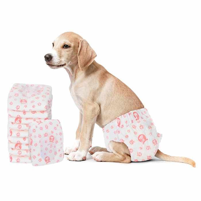Stable&Durable - Blanc - Couche jetable pour chienne 30 pcs - Blanc M - Culotte hygiénique pour chiens HS720286701