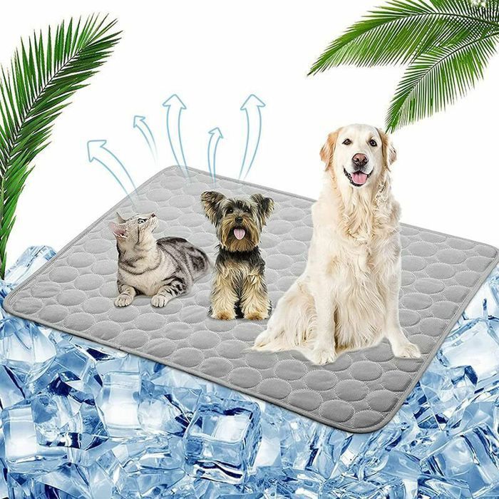 Tapis Rafraîchissant pour Chien et Chat – 70x55 cm Fraîcheur Instantanée en Été
