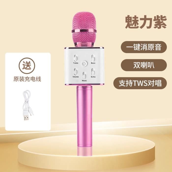 VioletSystème de son intégré karaoké sans fil Bluetooth Q7, mobile