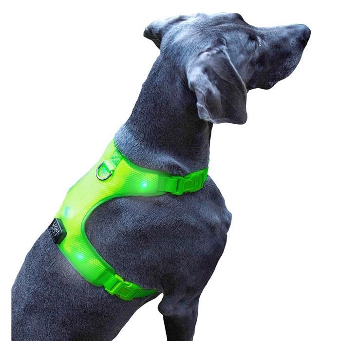 Gilet de sécurité réfléchissant pour chien (vert m), haute visibilité, jour  et nuit en plein air. Votre chien est visible pour éviter les accidents de  voiture ou la chasse