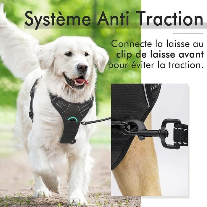 Z-C Harnais pour chien anti-traction respirant et facile à porter