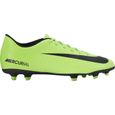 mercurial vert