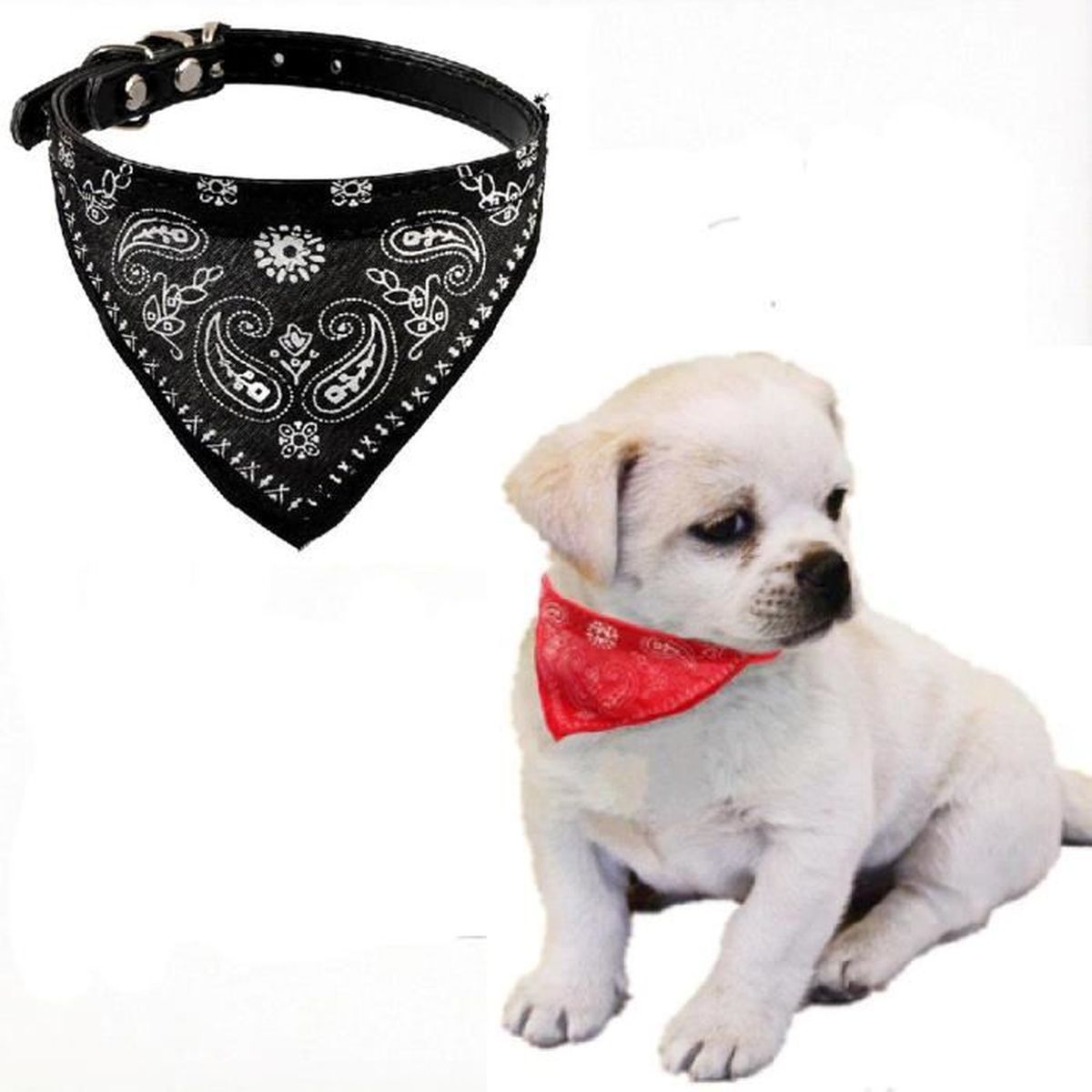 Collier Bandana Chien Chat Ajustable Noir Achat Vente Collier Collier Bandana Chien Chat Cdiscount Collier Bandana Chien Chat Ajustable Noir Achat Vente Collier Collier Bandana Chien Chat Cdiscount