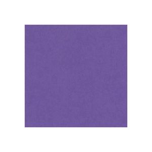 PAPIER A DESSIN CANSON Iris Vivaldi Papier A4 50 feuilles violet 1