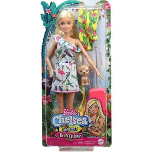 POUPÉE Coffret Barbie Blonde Poupee Mannequin Chien Valise Vetement Set Poupee Mannequin Anniversaire 1 Carte Tigre