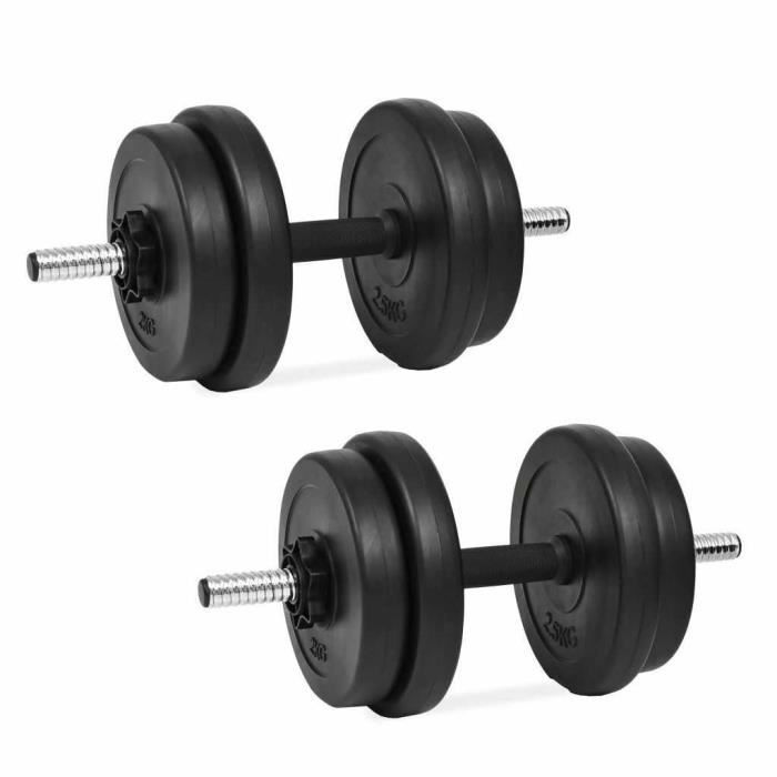 vidaXL Haltères Poids Barres Disques Fitness Musculation Biceps Multi Modèle (2 x 10 kg)