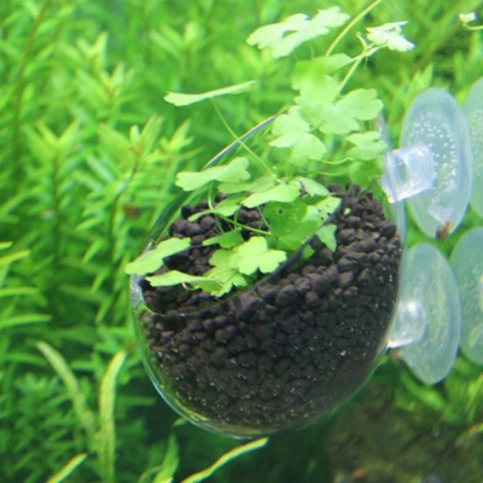 Décoration - aquarium,Mini Pot en verre cristal pour Aquarium, bouteille cylindrique de plantation aquatique en Pot - Type 1-S