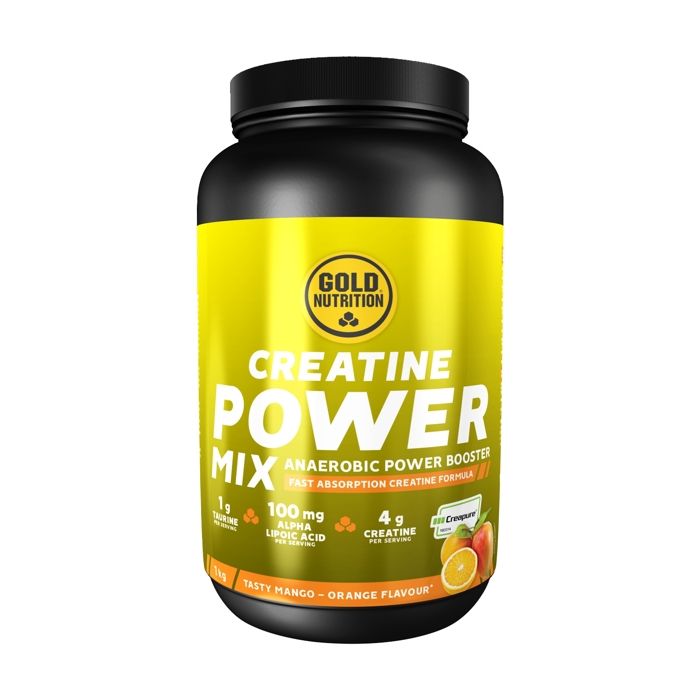 Creatine Power Mix 1000g (Mangue/Orange)