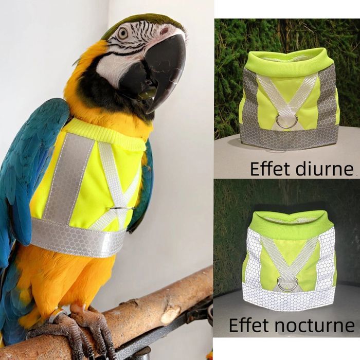 Comparer les prix de ECELEN Harnais Réfléchissant pour Perroquet–Confortable et Sécurisé–Idéal pour Promenade et Sécurité Extérieure-M