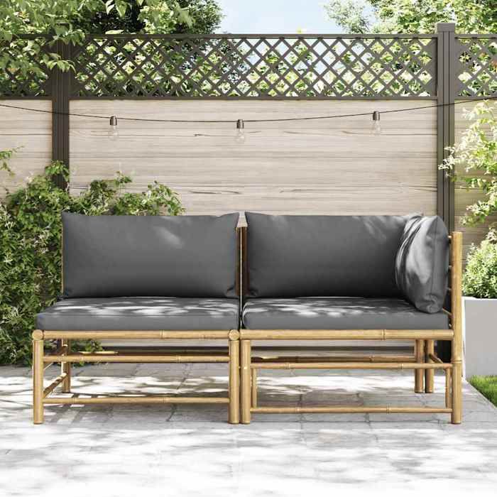 Gris Siège de jardin -  Salon de jardin - (2 pcs) - avec coussins gris foncé Bambou C891