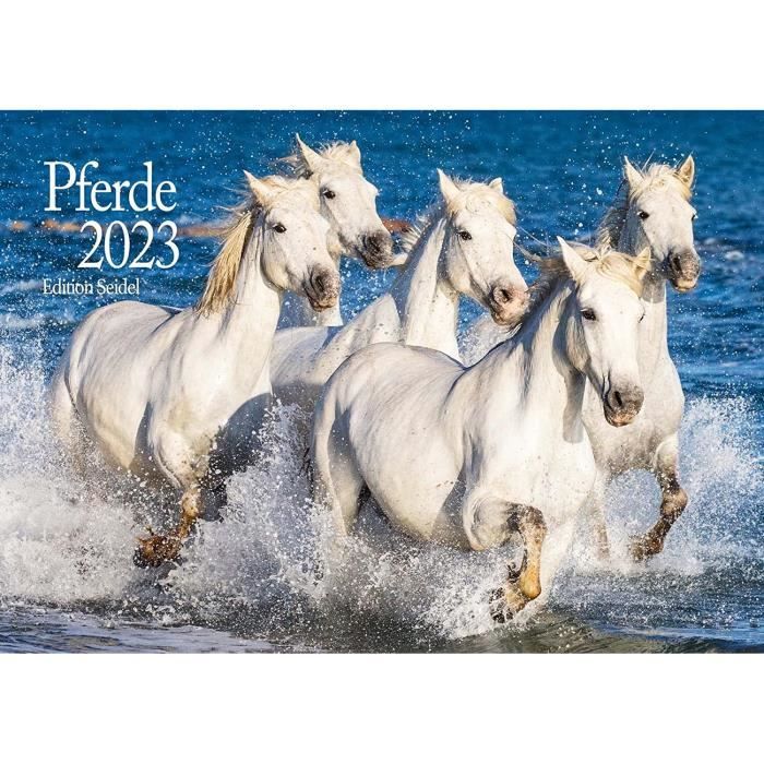 Calendrier 2025 Chevaux Et Poneys - Format Mural Premium