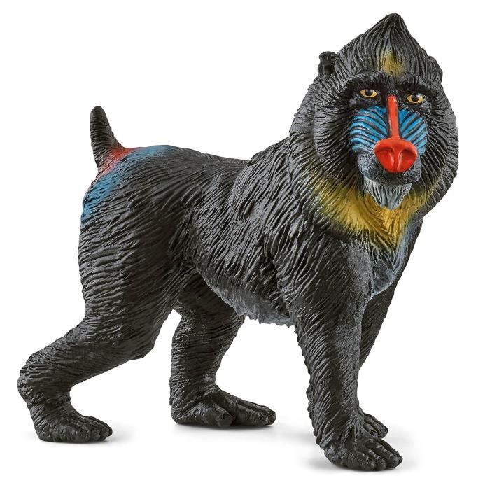 Figurine Tortue géante - SCHLEICH - Wild Life - Pour enfants à partir