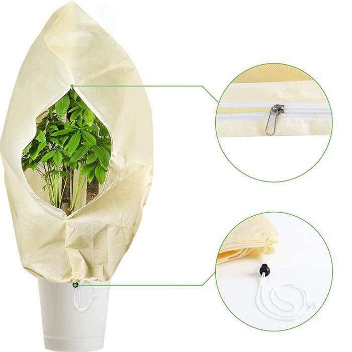 Protection Jeunes Plants Jardin Cloches De Protection Pour Plantes - Lot De 10 - Transparentes, Anti-escargots, Anti-gel Et Anti-oiseaux - Pour Salades Et Jeunes Pousses