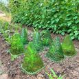 10pcs de Cloches de Forçage de Jardin Housse de Protection de Culture Anti-Oiseau Réutilisable Contre Le Soleil Transparente Vert-2
