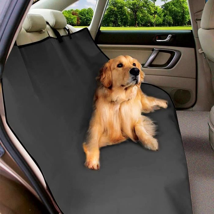 Siège d'appoint de siège de voiture réglable pour chien antidérapant avec  laisse de sécurité coussin de chenil doux lit Gris - Cdiscount