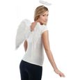 Ailes d'ange en plumes blanches - PTIT CLOWN - Accessoire de déguisement pour adulte - 50 cm x 50 cm-0