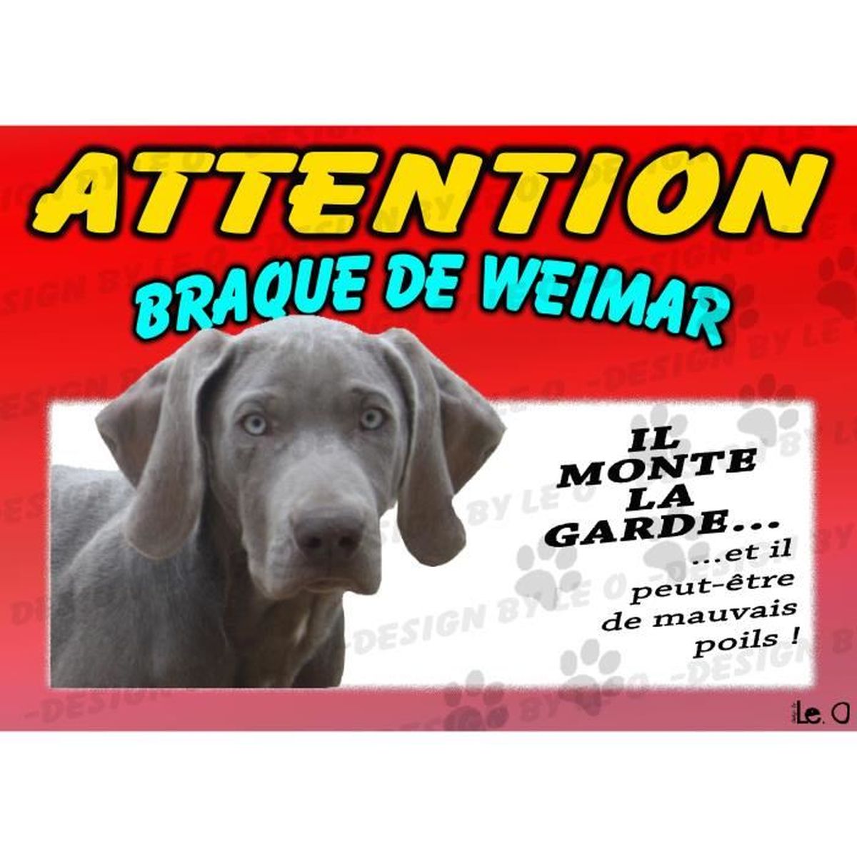 Braque De Weimar Cdiscount