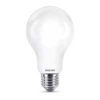 Ampoule LED E27 17,5W équivalent à 150W - Luz fría 6500K