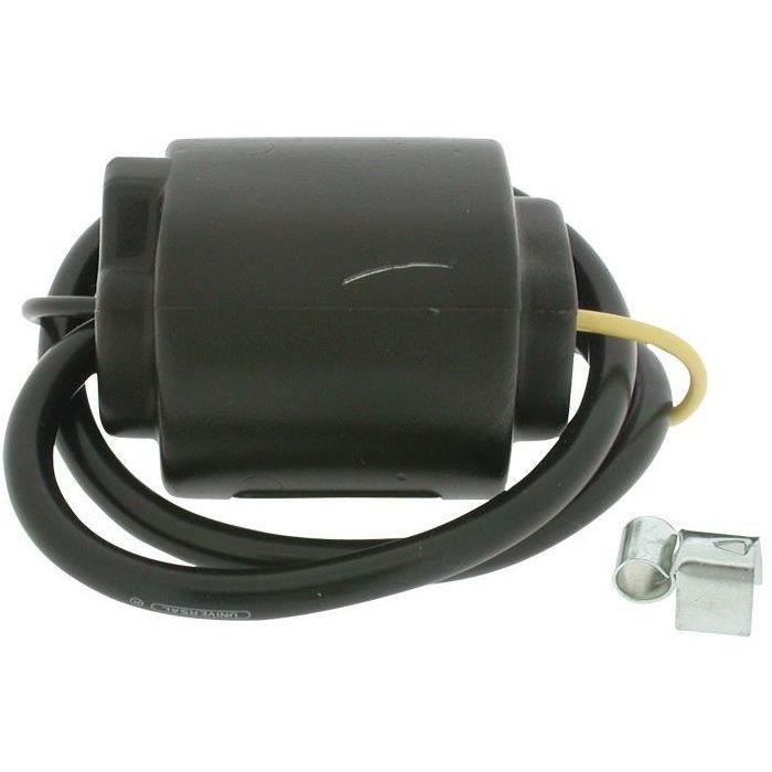 Bobine d'allumage BRIGGS ET STRATTON 290880 - 9 - 14 - 19 - 2 - 23- 23a - 23b - 23f - 23p - 23r