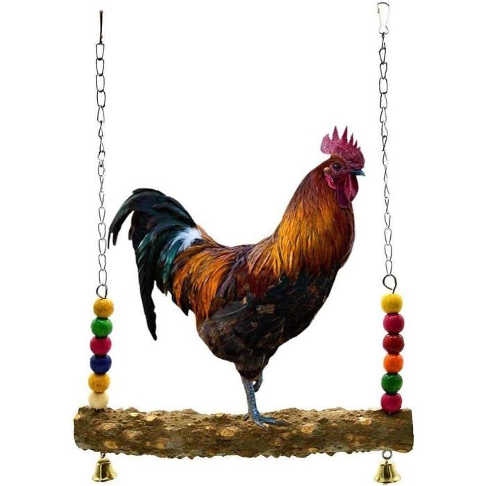 Meilleurs prix pour Balançoire en bois pour poules et oiseaux – jouet avec perchoir pour poulailler perroquets ara perruches. Label