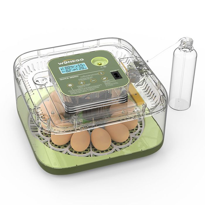 Meilleurs prix pour Incubateur automatique 12 œufs carré et rond réglage humidité facile dutilisation pour poules canards oies usage domestique