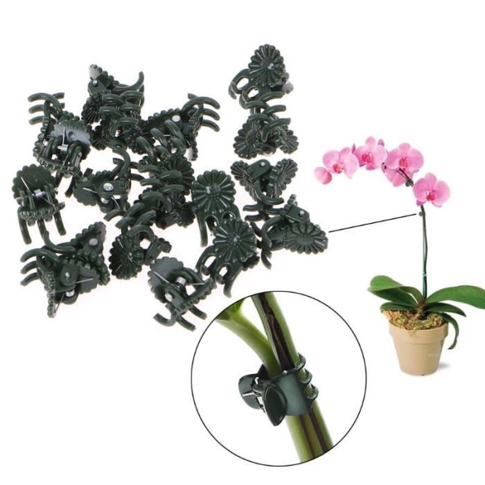 100pcs Clips D'orchidée Clips De Support De Plantes En Plastique Coloré, Clips De Vigne De