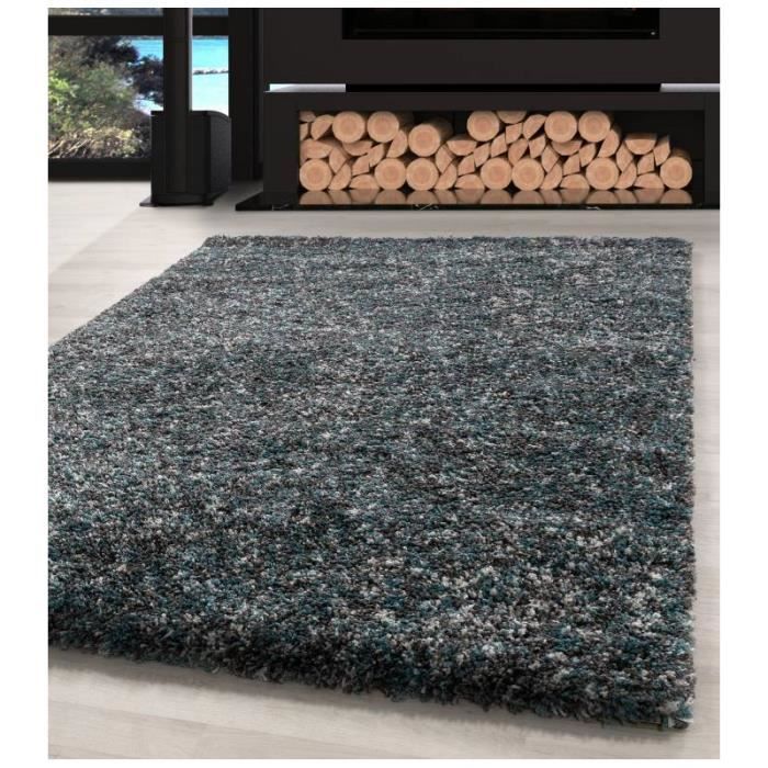 Poils Longs Shaggy Tapis Qualité Premium Salon Menthe Gris Crème Moucheté