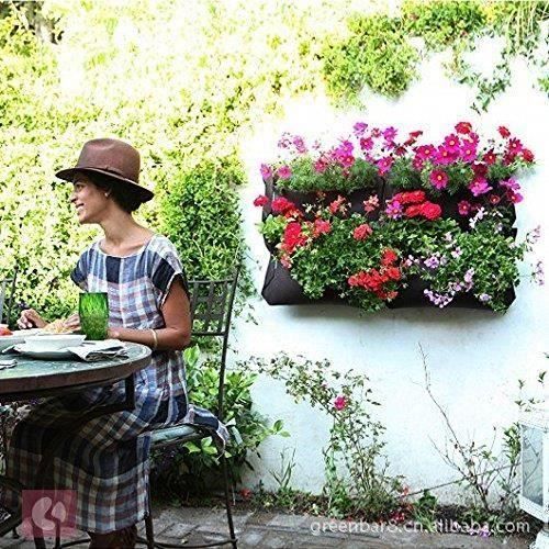 36 Pocket Mural Vertical Garden Pot De Fleurs Support Mural Balcon De Croissance Sacs Home Living Mur Et Bureau Achat Vente Jardiniere Bac A Fleur 36 Pocket Mural Vertical Gar Cdiscount Les fleurs de bach® original sont les seules à porter la signature bach. 36 pocket mural vertical garden pot de fleurs support mural balcon de croissance sacs home living mur et bureau