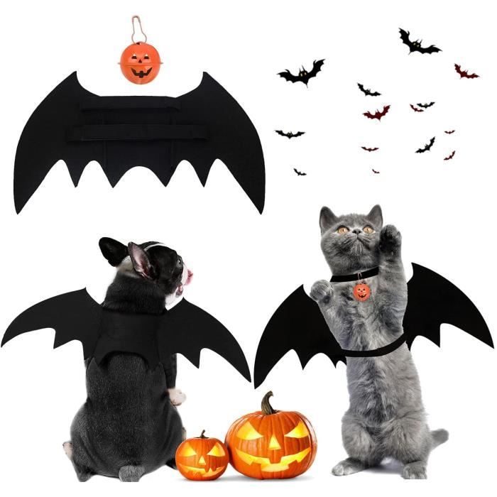Halloween Costume De Chien Costume De Chauve Souris Pour Chat De Compagnie Avec Cloche De Citrouille Deguisement Chat Pour H 1364 Cdiscount