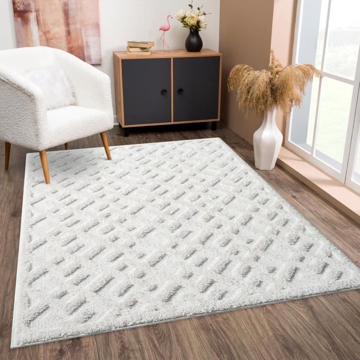 Tapis De Salon Moelleux à Poils Longs Gris 200x300 Cm – Ultra Doux, Lavable En Machine, Antidérapant, Idéal Pour Chambre, Salon Et Chambre D'Enfant