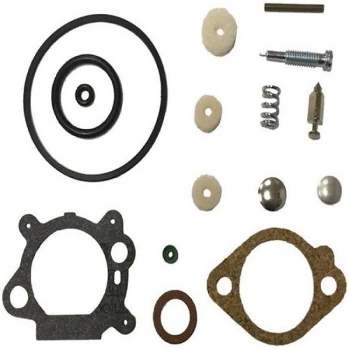 Kit Révision Carburateur + Filtre à Air Carkio 498260 – Compatible Briggs & Stratton 3.5-4 HP Max Series