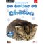 Un Amour De Chaton Achat Vente Jeu Pc Un Amour De Chaton Cdiscount