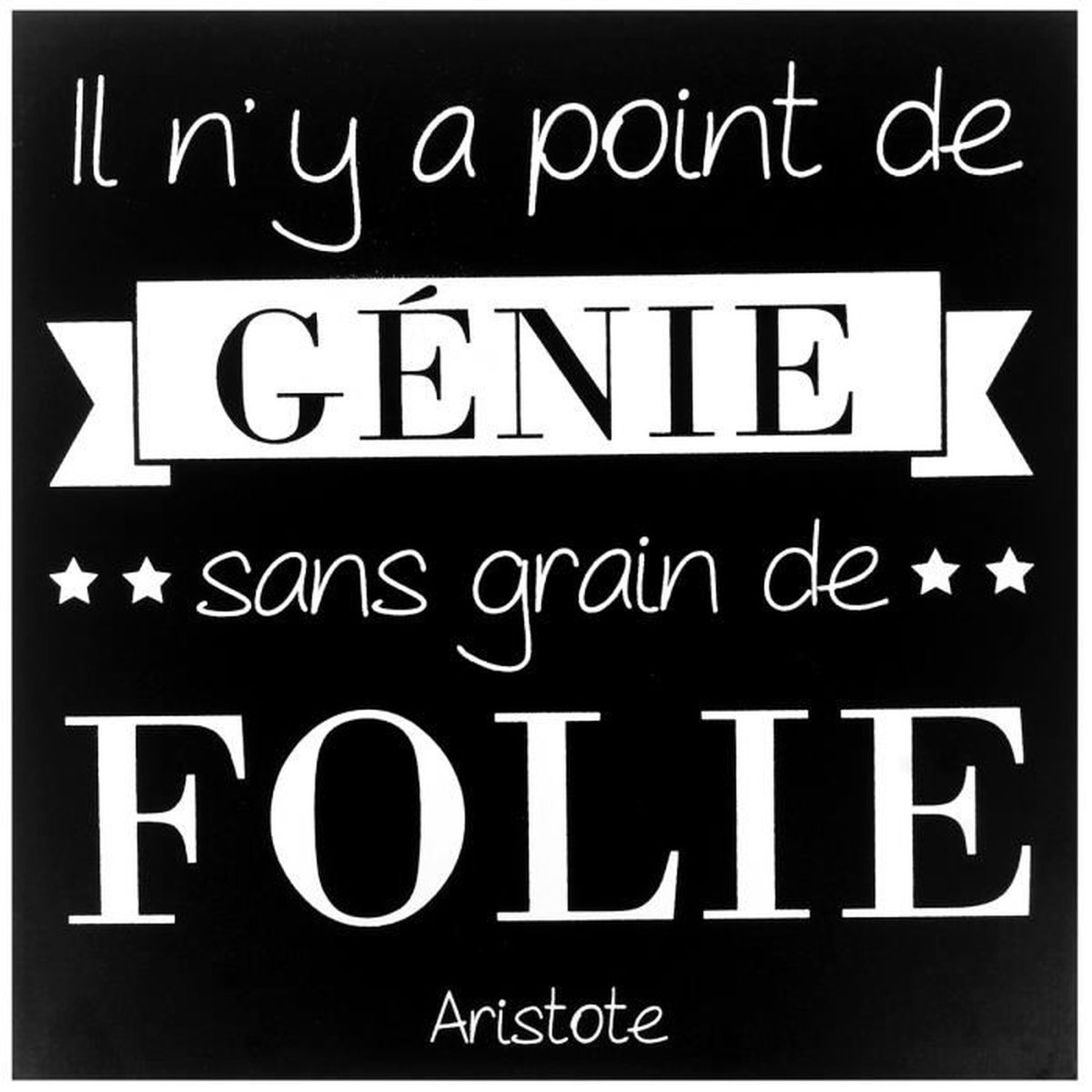 Tableau Toile Cadre Citation Aristote Genie Sans Grain De Folie Noir 25 X 25cm Cdiscount Maison
