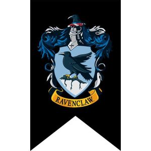 Harry Potter Banniere Embleme De La Drapeaux Harry Potter United College Serpentard Gryffondor Poufsouffle Achat Vente Banderole Banniere Cdiscount
