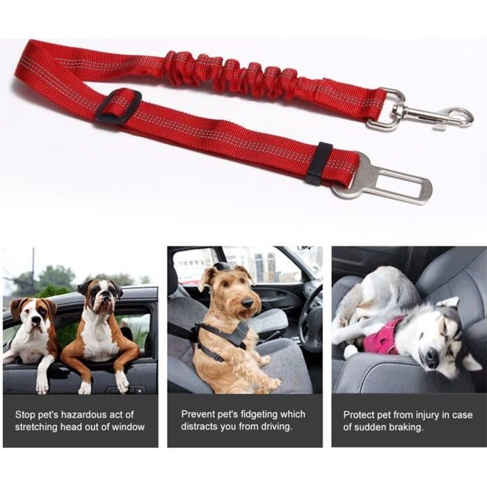Laisse - accouple,Siège auto harnais pour chien et laisse siège sécurité  véhicule chien conduit ceinture pour - green-M[A32]