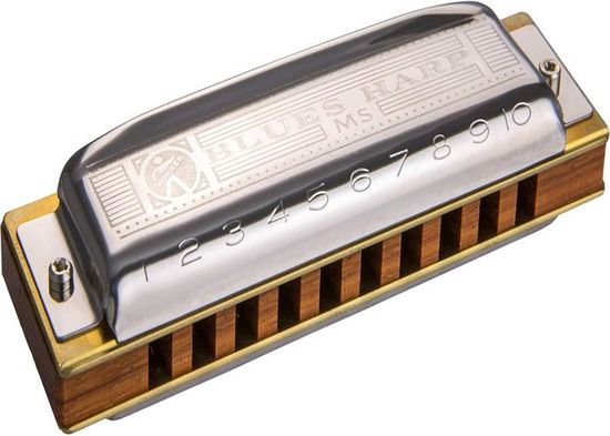 Harmonica Blues En Do - 10 Trous 20 Notes - Blanc - Débutants Et Confirmés - Acier Inox - 7