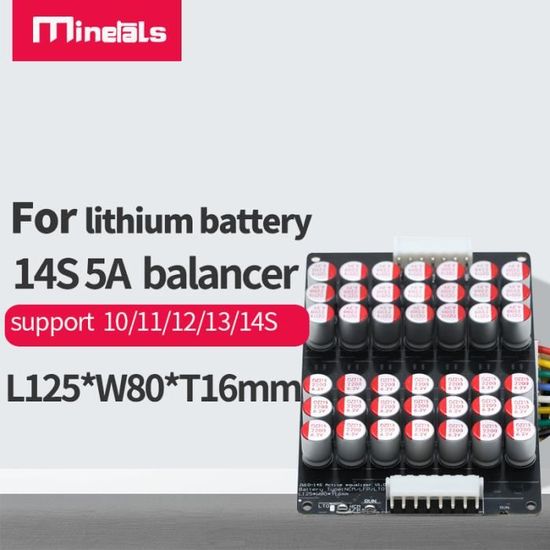 Module D'équilibrage Actif Pour Batterie Li-ion 16S - 5A - Compatible NMC Et LFP (LiFePO4) - 6