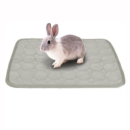 Tapis de lit lavable pour lapin doublure de Cage de cochon d'inde coussin de pipi pour Hamster objet decoratif WJP5484