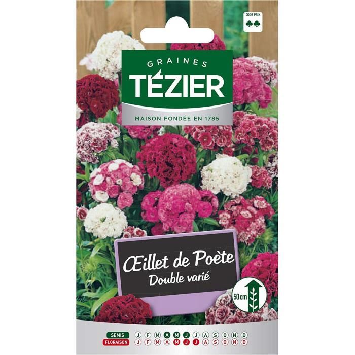 Sachet Graines - Tezier - Oeillet de poète double varié -- Fleurs bisannuelles - Sachet Fleurs - Fleurs bisannuelles à utiliser sur