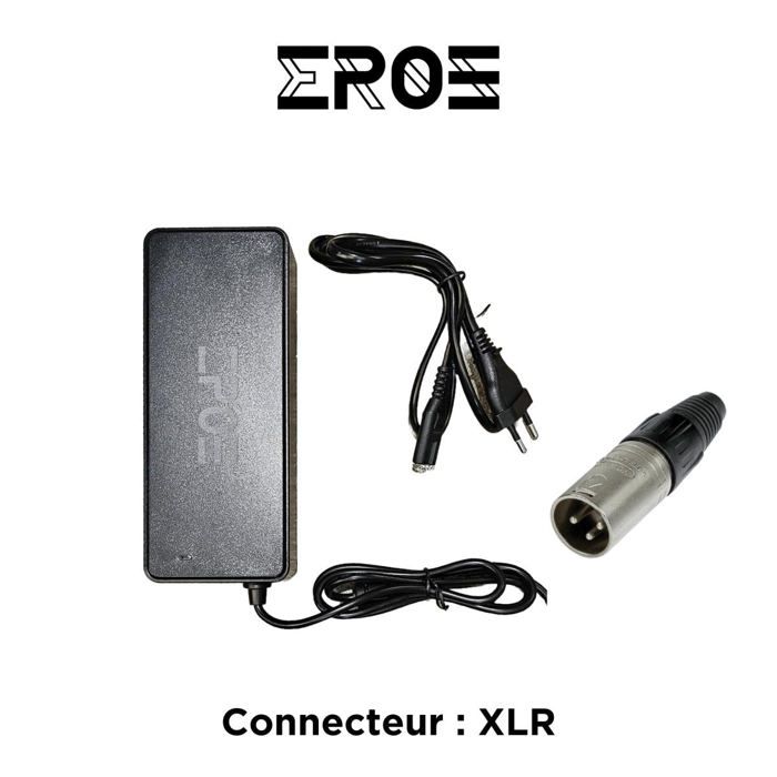 EROZ  Chargeur Rapide Universel de Trottinette &Eacute;lectrique pour Batterie 60V 