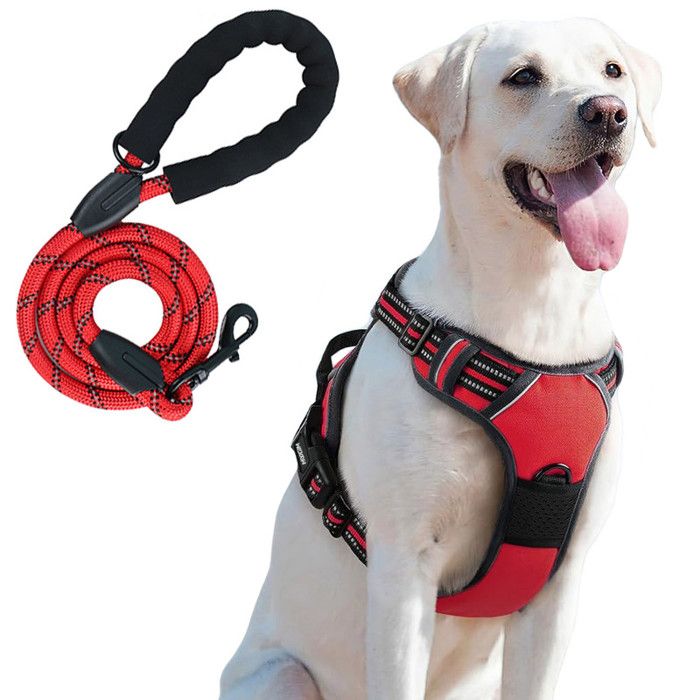 Comparer les prix de MUGIM Harnais pour Chien avec Laisse XL - Solide Respirant Réglable Réfléchissant Rouge