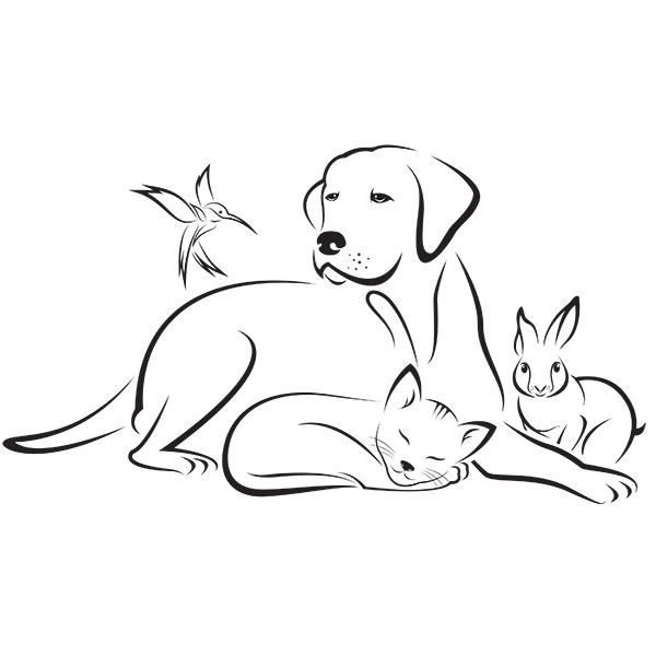 Sticker Animaux Chien Chat Lapin Oiseau Mignons 40x72 Cm Noir Anim003 Cdiscount Maison Sticker Animaux Chien Chat Lapin Oiseau Mignons 40x72 Cm Noir Anim003 Cdiscount Maison