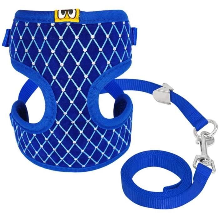Protection Du Jardin Contre Les Animaux Zzxx Ensemble Harnais Et Laisse En Strass Respirant Pour Chat Et Chiot Bleu Sm Cdiscount