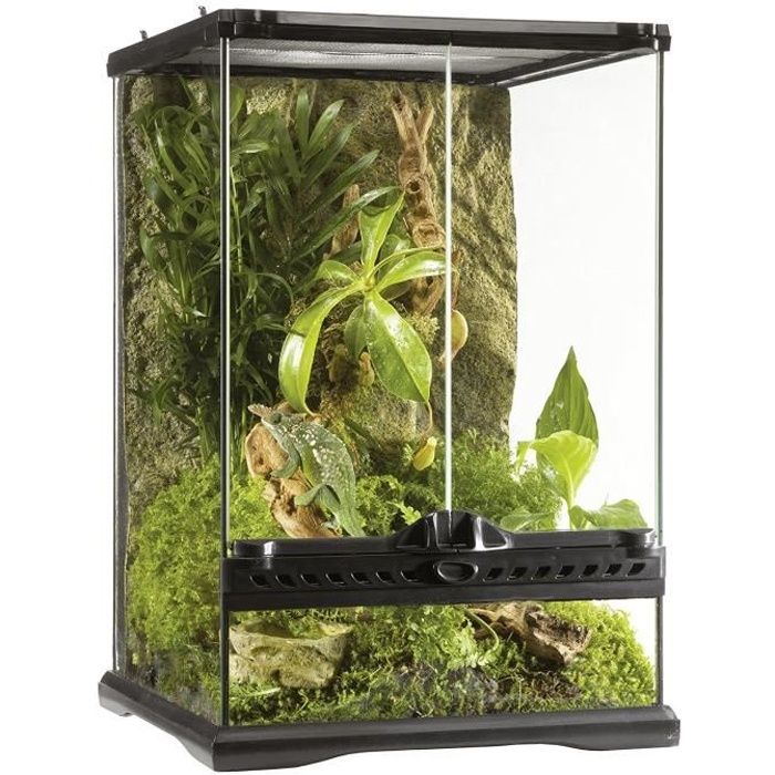 Exoterra Terrarium en Verre pour Reptiles et Amphibiens 30x30x45 cm: Animalerie