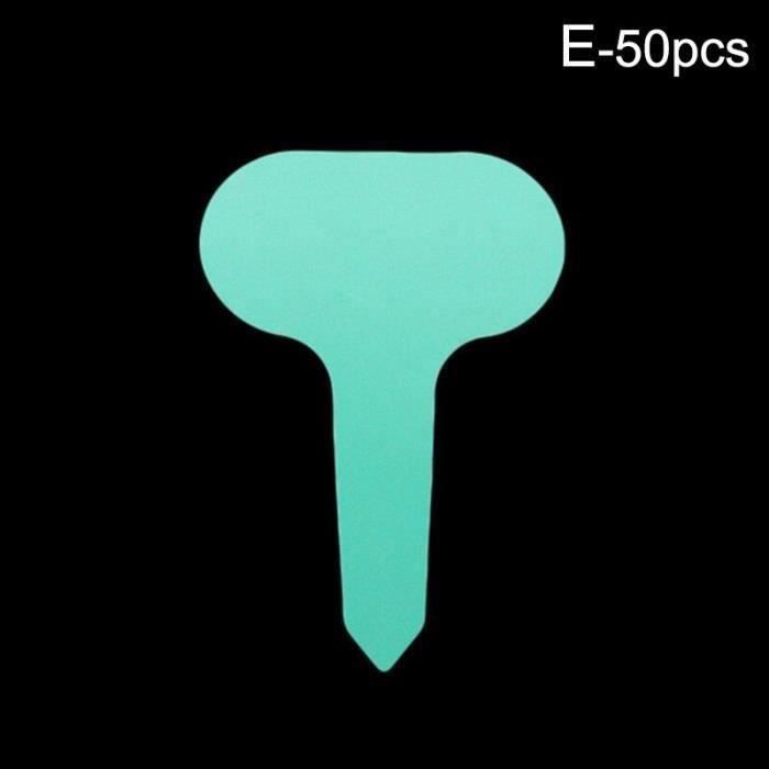 Désherbeurs De Jardin En Acier Inoxydable, Extracteur De Désherbage à