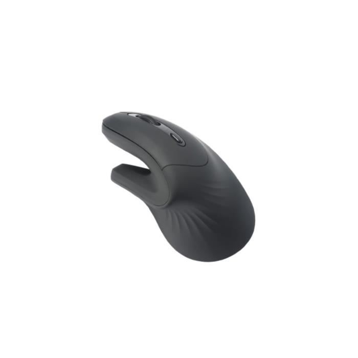 ergonomique WE 2 en 1 connexion BT + 2.4GHz 5 boutons et 1 molette DPI 800 1200 1600 1 pile AA inclus Neuf - vue 2