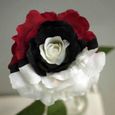 50pcs graines de rose noire et blanche-1