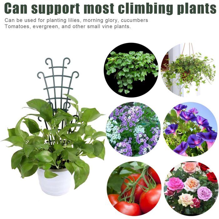 Lot De 6 Tuteurs Plantes 40cm JIALWEN - Supports Métal Avec Attaches Pour Fleurs Et Tomates