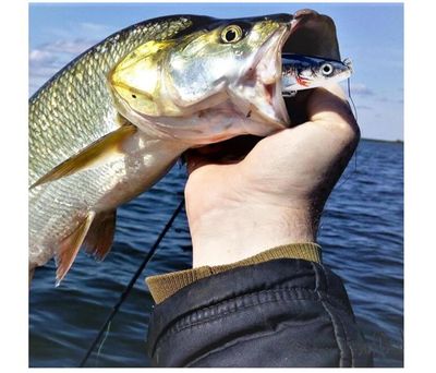 Lot De 3 Leurres De Pêche 10cm – 16.5g, Flottants/Coulants, Hameçons Triples, Design Réaliste, Eau Douce/Salée