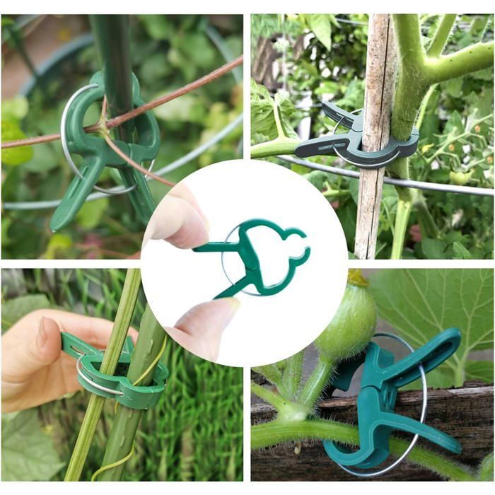 ZXCFTG Lot de 6 tuteurs de support pour plantes - 40 cm - Tige unique